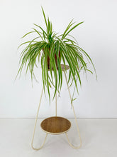 Afbeelding in Gallery-weergave laden, Plantenstandaard
